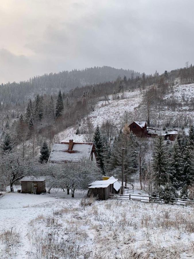 Sadyba Vanda Орявчик Экстерьер фото